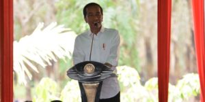 Info Bisnis Jokowi