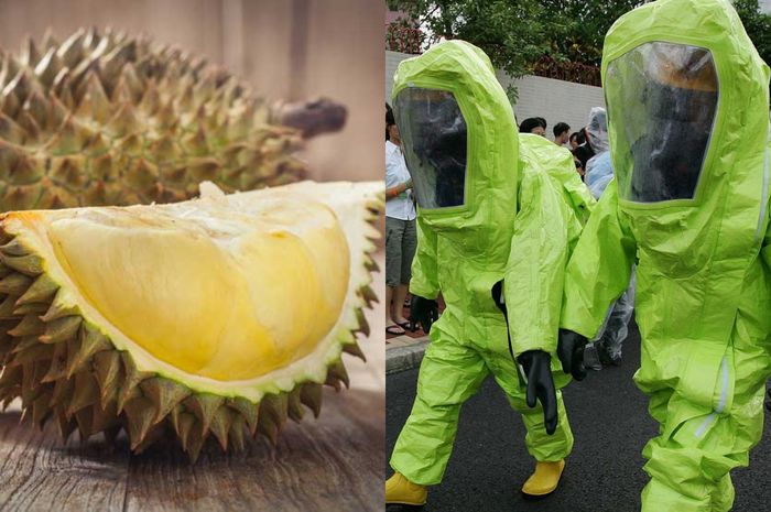 Aroma Durian Dikira Gas Bocor,…