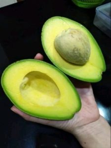 Alpukat Mentega