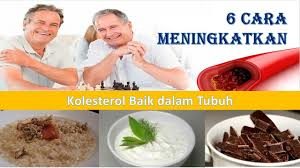 Kolestrol Baik 2