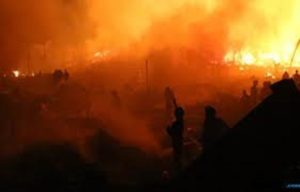 Hutan Gunung Wongge Terbakar
