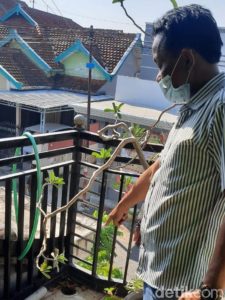 Lokasi Korban Strum
