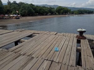 dermaga lovina1