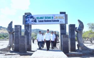 0138komodo_1 (1)
