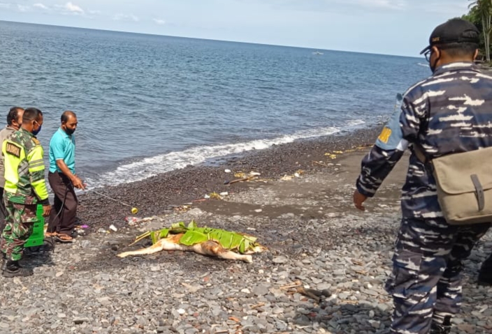 Geger, Mayat Tanpa Busana Mengambang di Pantai Desa Les, Buleleng