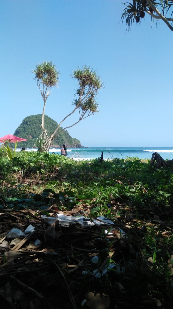 Pantai Pulau Merah, Mutiara Terpendam di Banyuwangi