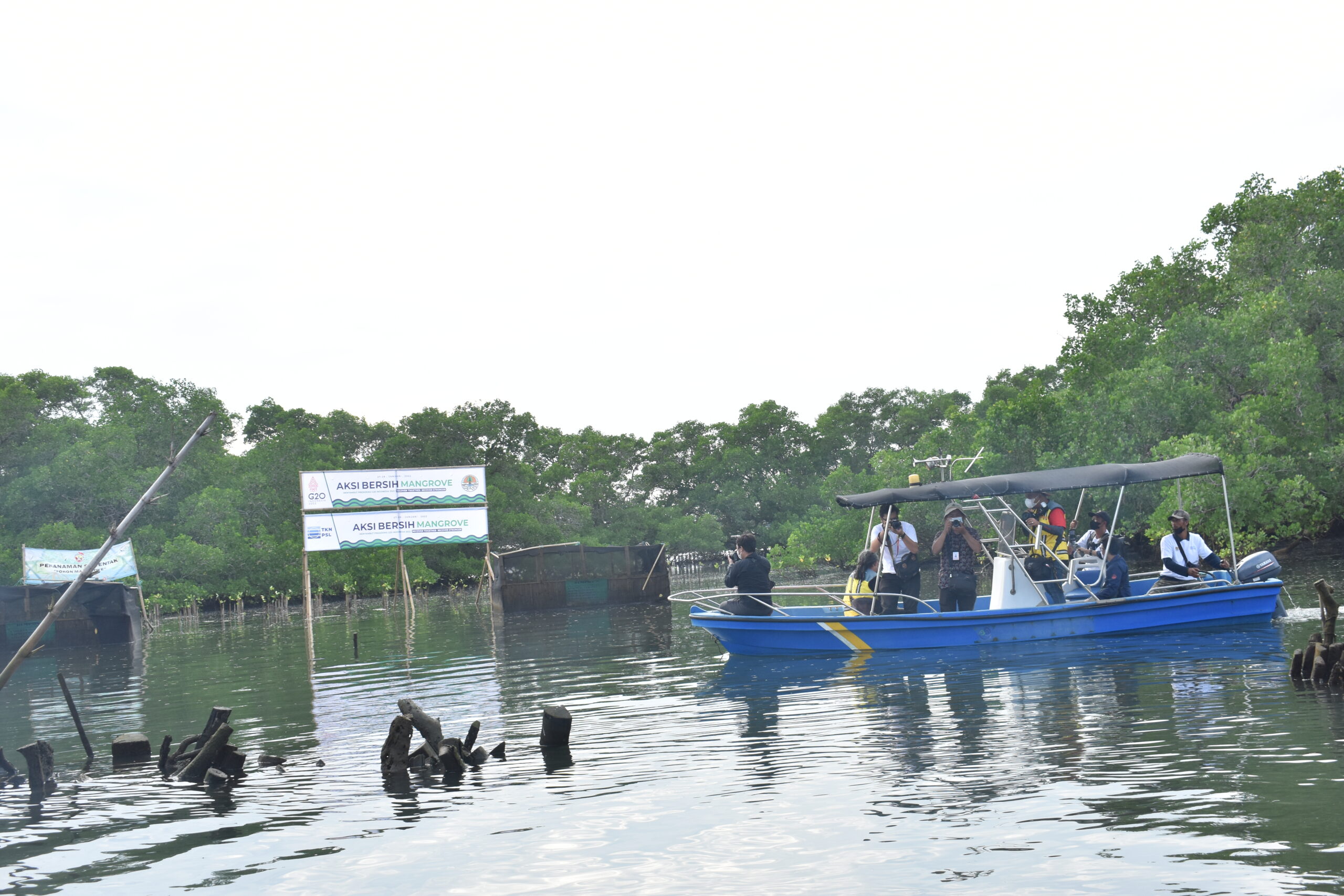 Bersih Sampah di Mangrove dan Estuari Dam