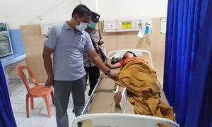 korban pohon canging tumbang