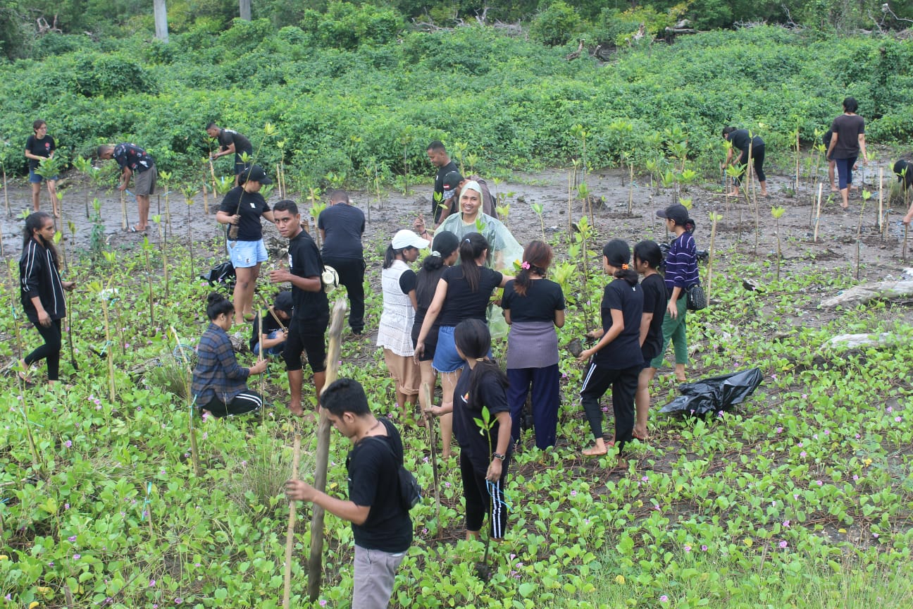 Tanam Mangrove di kawasan Pantai Kuta