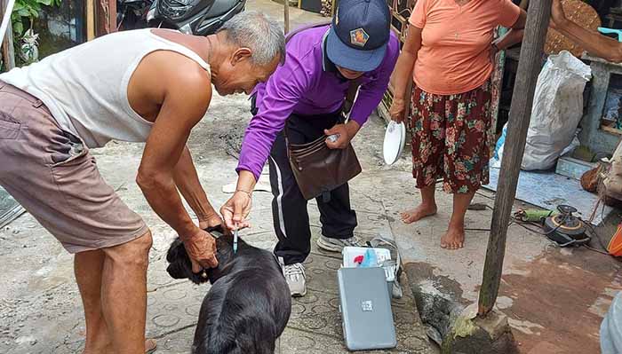 Petugas sedang vaksin anjing di wilayah Buleleng untuk cegah rabies