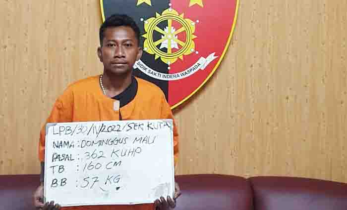 Mantan Karyawan Bobol Villa Tempat Tinggal WNA Singapore