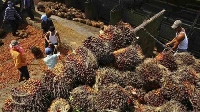 Kemendag Rapat Godok Aturan Larangan…