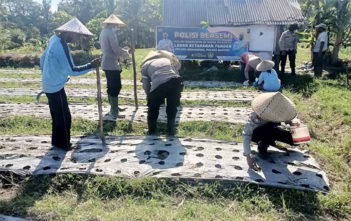 Perkuat Ketahanan Pangan Polsek Abiansemal kembali Tanam Kacang Edamame