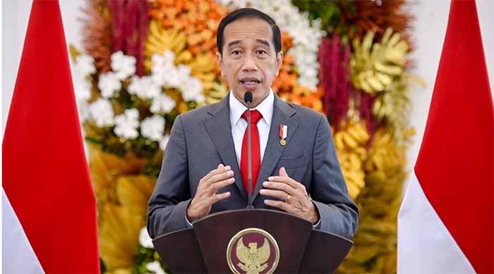 Jokowi Bahas Solusi Damai Rusia-Ukraina dengan Sejumlah Pemimpin Negara