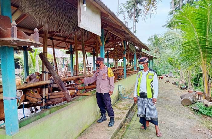 Antisipasi penyebaran PMK, Kompol Darsana Sebar Anggotanya