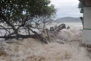 ilustrasi banjir rob