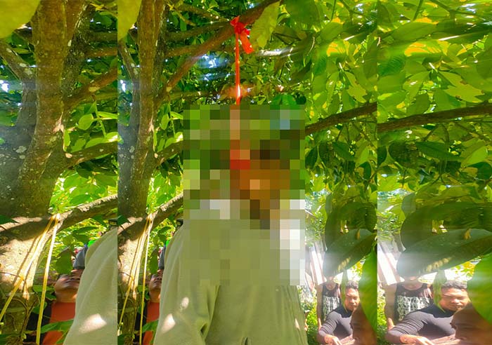 pria gantung diri di pohon di padanggalak