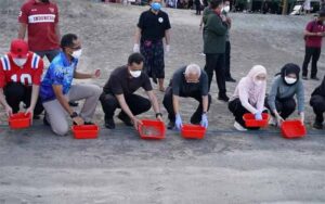 wapres lepas tukik di pantai kuta