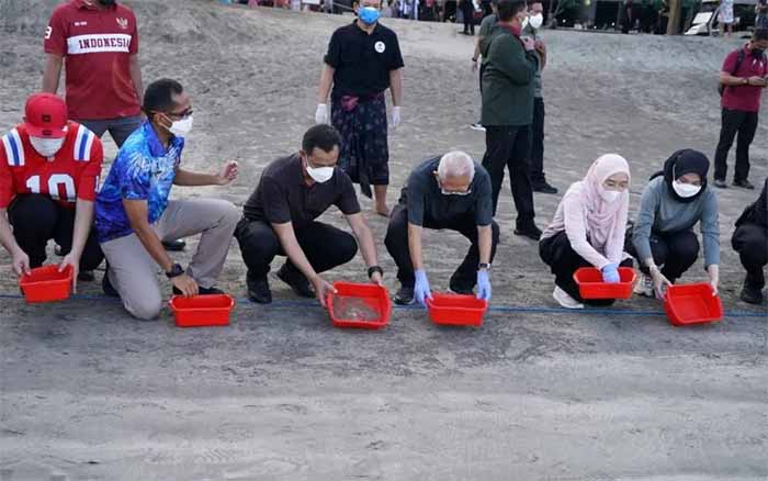 wapres lepas tukik di pantai kuta