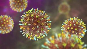ilustrasi virus hendra