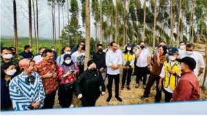 presiden jokowi saat meninjau pembangunan IKN