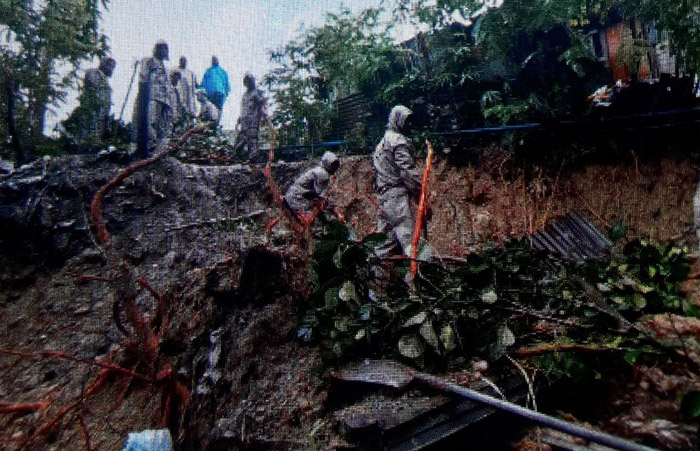 Brimob Maluku Berjibaku Bersihkan Pohon Tumbang Akibat Longsor