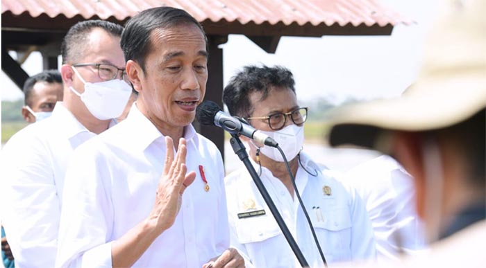 presiden jokowi