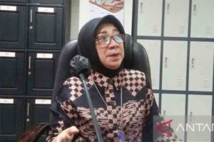 Anggota DPRD Maluku, Ayu Hindun Hasanussy