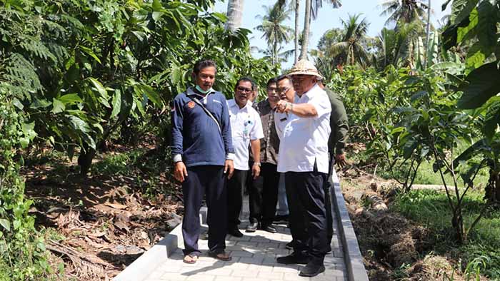 Bupati Jembrana I Nengah Tamba saat berada di kebun Kelompok Tani Kakao Merta Abadi.