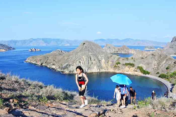 Sejumlah wisatawan mendaki puncak pulau Padar untuk menyaksikan keindahan alam, di kawasan Taman Nasional Komodo (TNK), di Manggarai Barat, NTT, Selasa (20/1/2020).