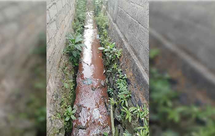 Aliran sungai di Jalan Andakasa Gang Pudak, Kelurahan Padangsambian, Denpasar yang tercemar limbah pemotongan ayam.