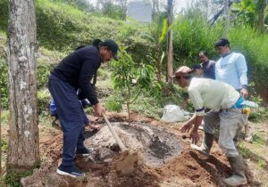 Made Sudiana, saat menanam bibit alpukat perdana, bersama petani di Jempana, Desa Plaga, Kecamatan Perang, Badung.