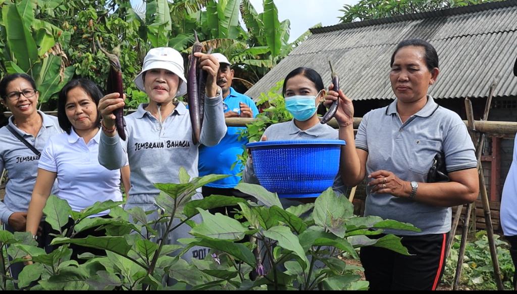 Ketua Tim Penggerak PKK Kabupaten Jembrana Ny. Candrawati Tamba mengapresiasi pelaksanan family farming (konsep kebun keluarga) sebagai wujud program halaman, asri, teratur, indah, dan nyaman (Hatinya) PKK yang dilaksanakan di Desa Baluk.