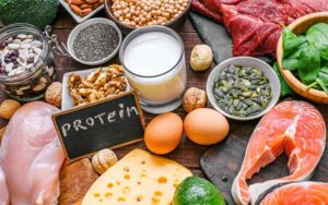 Protein