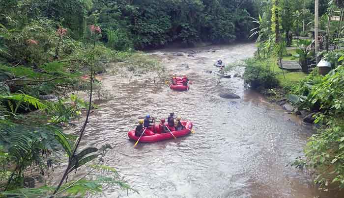 Tim SAR melakukan pencarian WNA asal Amerika, terseret arus di salah satu objek wisata rafting yang ada di Tukad Ayung, Ubud, Kabupaten Gianyar,