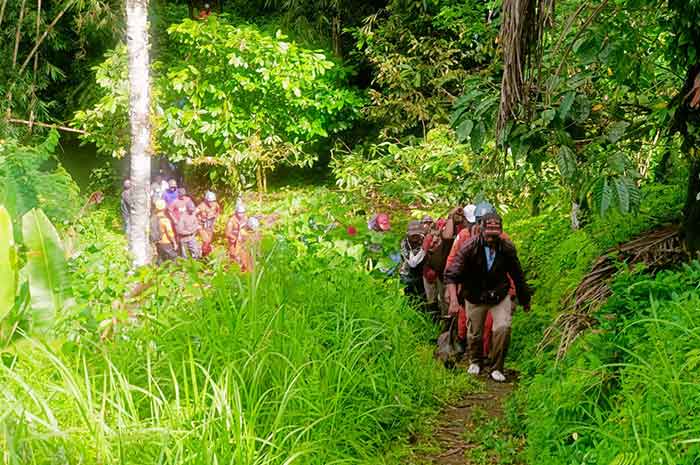 Hilang di Hutan Saat Cari Rumput, Kakek di Tabanan Ditemukan Tak Bernyawa.