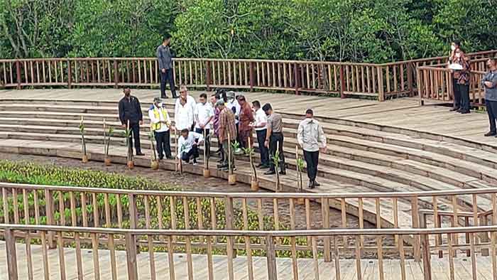 Presiden Joko Widodo mengecek Tahura Mangrove Ngurah Rai Bali