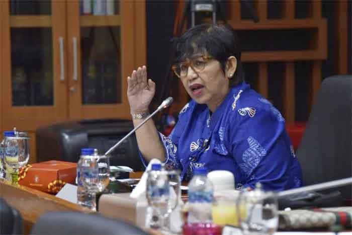 Anggota Komisi IX DPR RI Irma Suryani Chaniago