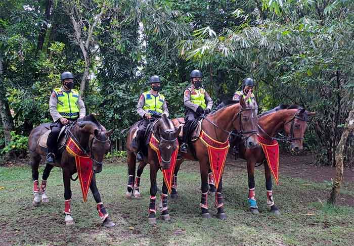 Patroli berkuda, Amankan Pelaksanaan KTT G20 di Nusa Dua.