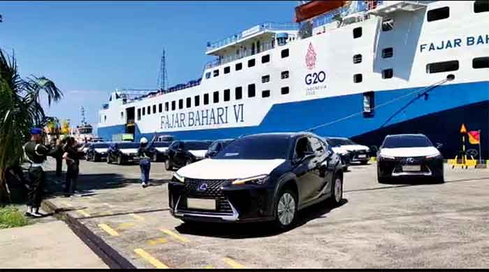 Bongkar muat ratusan mobil listrik di Pelabuhan Benoa Bali, Rabu (9/11/2022).
