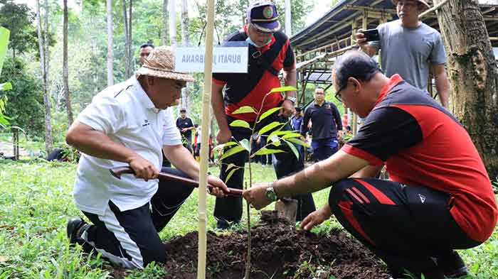 Kegiatan penanaman 1000 pohon di Mantu Cager