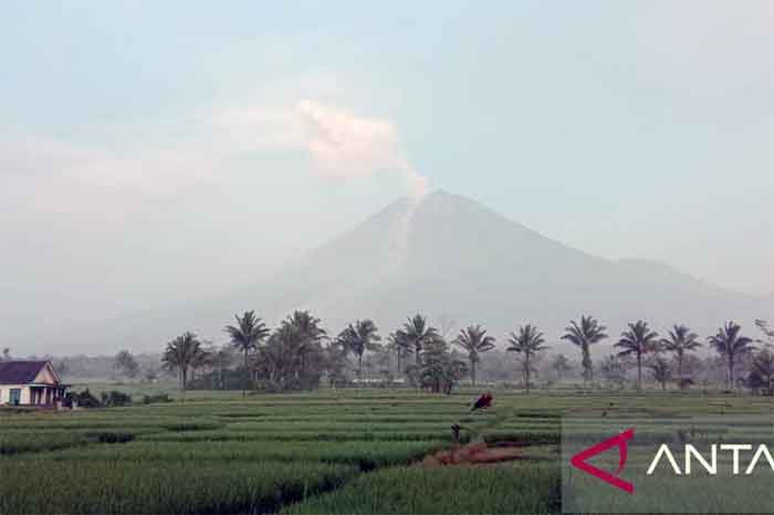 Gunung Semeru masih mengalami erupsi yang terlihat dari Desa Sumberwuluh, Kecamatan Candipuro, Kabupaten Lumajang, Senin, 5 Desember 2022.