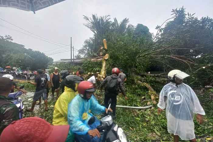 Lokasi kejadian pohon tumbang di Jalan Wolter Monginsidi, Kelurahan Lateri, Kecamatan Baguala, Kota Ambon.