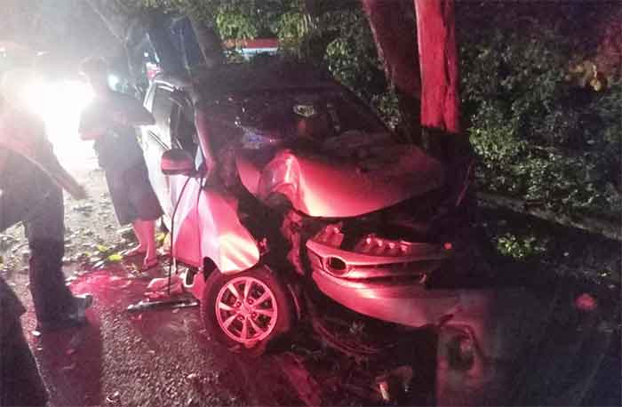Mobil Toyota Avanza yang menabrak pohon perindang jalur Denpasar Gilimanuk, Desa Candikusuma Melaya, Jembrana, Bali, Senin (19/12/2022).