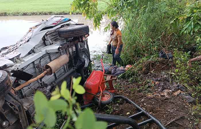 Mobil pickup yang terperosok ke sawah di Jalan Raya Denpasar - Gilimanuk, pada Jumat (16/12/2022) pagi.