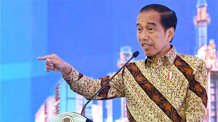 Presiden Jokowi: Jangan Berhenti di Nikel Meski Kalah di WTO