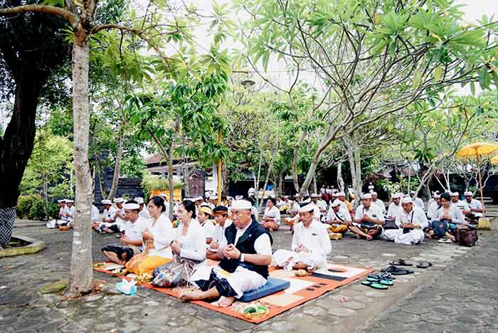 Bhakti penganyar serangkaian pujawali di Pura Agung Blambangan di Desa Tembokrejo, Kecamatan Muncar, Banyuangi pada rahina Manis Kuningan, Minggu (15/1/2023).