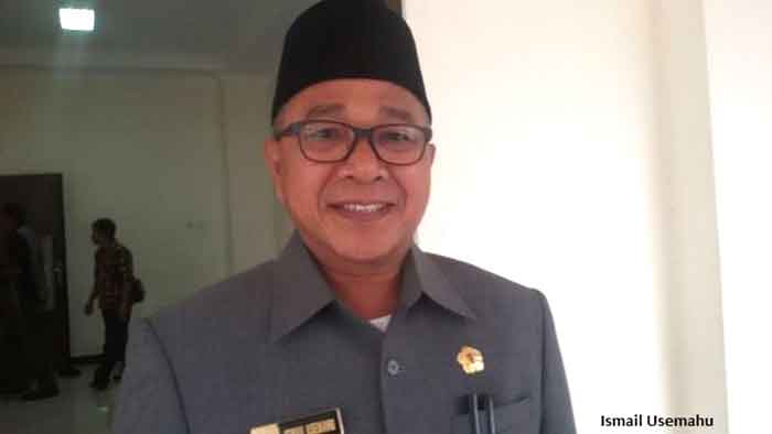 Kepala BPBD Maluku, Ismail Usemahu.