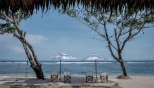 Kura-kura Bali di Pulau Serangan, Bali
