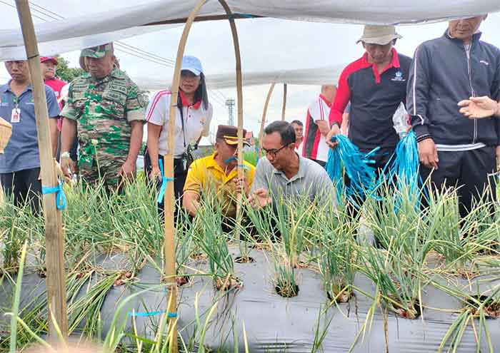 Kapolsek Abiansemal Menghadiri Kegiatan Panen Bawang Merah di Bongkasa